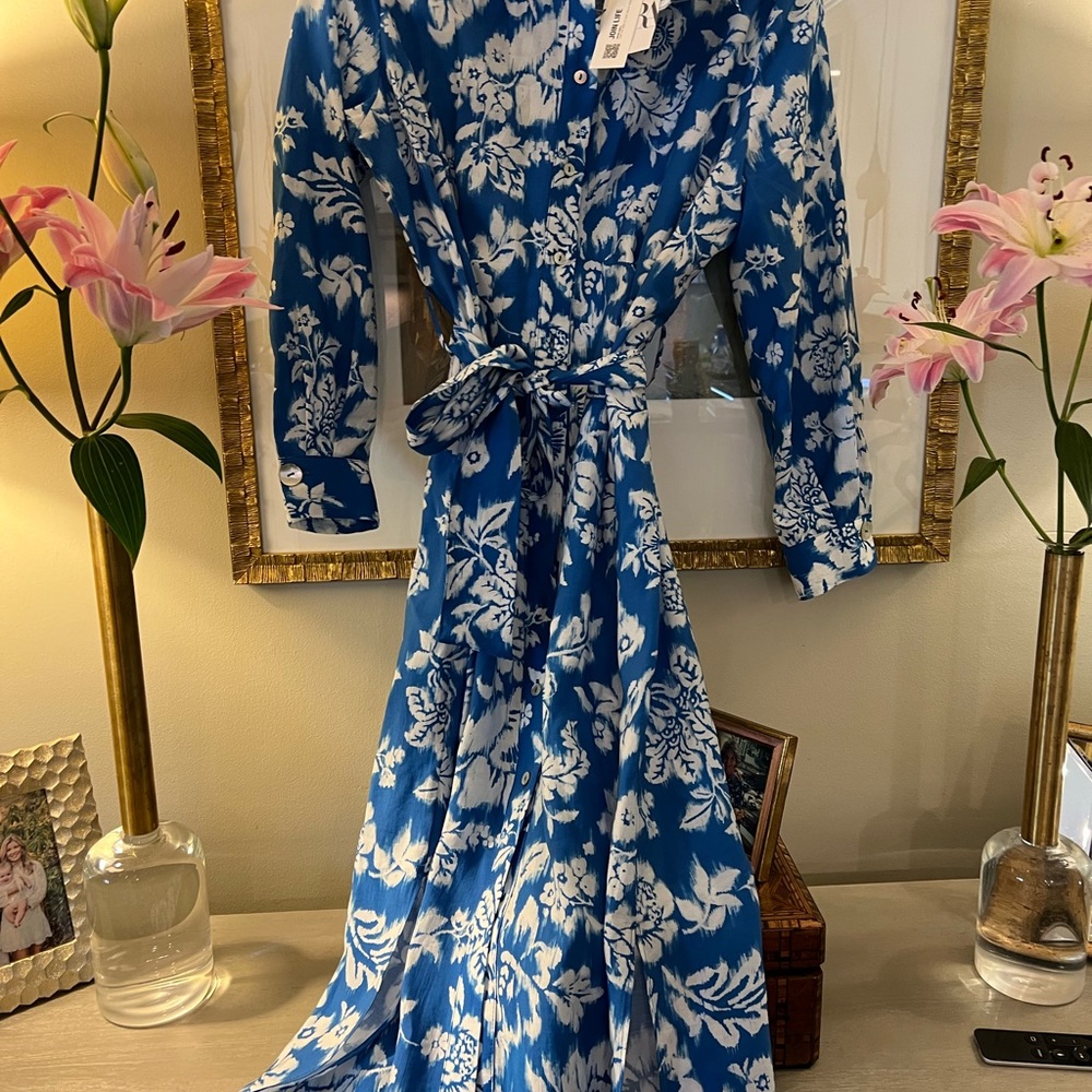 ZARA NWT size small blue floral dress